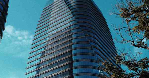 全自动智能宠物机器人 宠物机器人COZMO