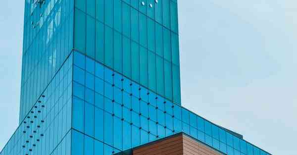 AI宠物产品设计