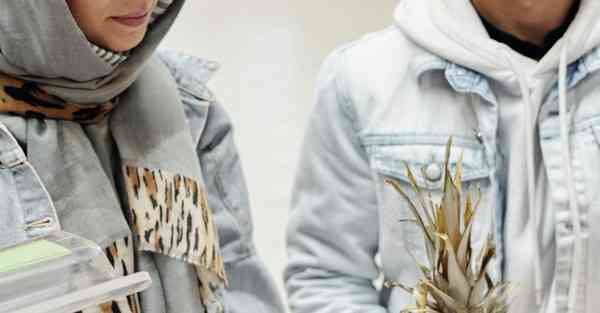 外国语单招大数据的行业文章