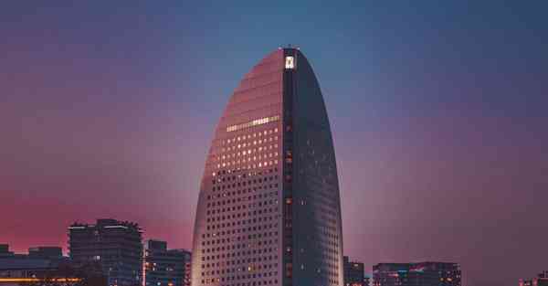 外国语单招大数据的行业文章