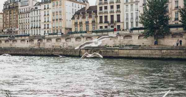 重型装备智能化工业机器人
