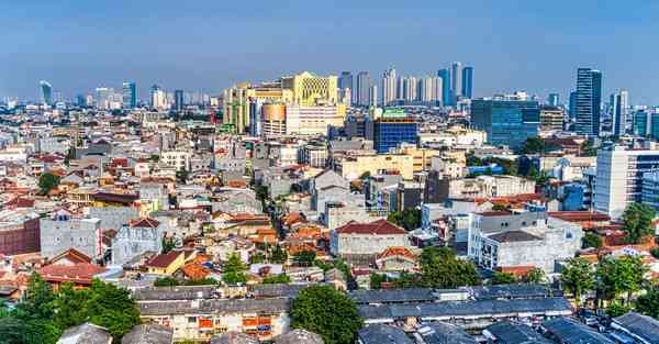 外国语单招大数据的行业文章