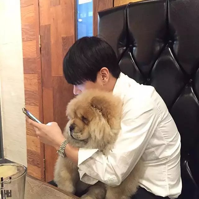 司滢冠轮