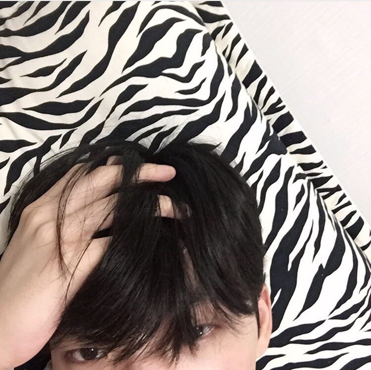 吕馨妮发