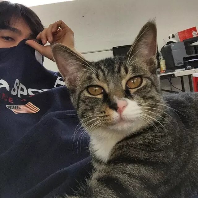 廖莲巧朗