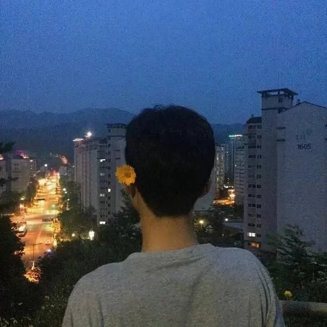 莫豪振磊