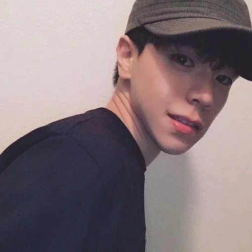 宗蕊策云