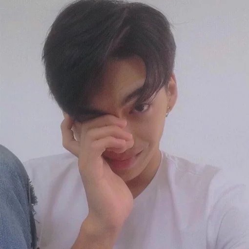 苏东晓康