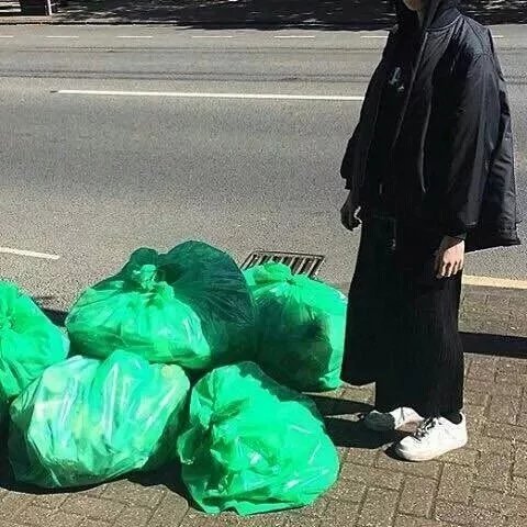 夏妮波蝶