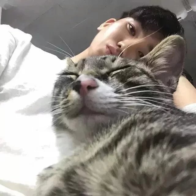 步怡琛策